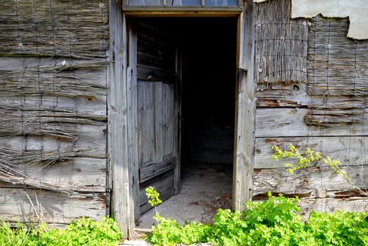 Open door of old wooden abandoned house destroying in the wilderness
