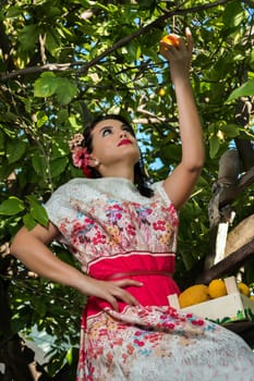 Vintage girl with floral dress climbing a lemon tree.