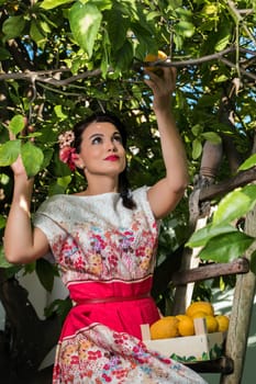 Vintage girl with floral dress climbing a lemon tree.