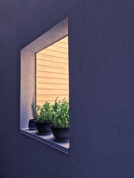 Window decorated with potted herbs. Detail of an urban residential building.