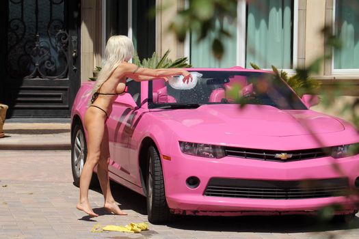 Frenchy Morgan the "Celebrity Big Brother" Star is spotted on a hot day wearing a tiny pink bikini while washing her pink car in Malibu, CA 05-22-17