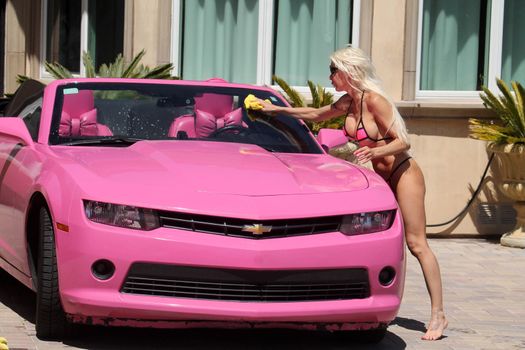 Frenchy Morgan the "Celebrity Big Brother" Star is spotted on a hot day wearing a tiny pink bikini while washing her pink car in Malibu, CA 05-22-17