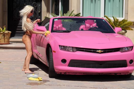 Frenchy Morgan the "Celebrity Big Brother" Star is spotted on a hot day wearing a tiny pink bikini while washing her pink car in Malibu, CA 05-22-17