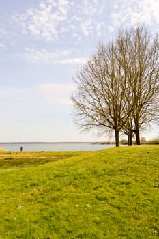 View of the lake of madine in the Meuse in France