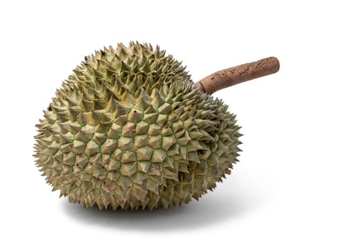 durian isolated on white