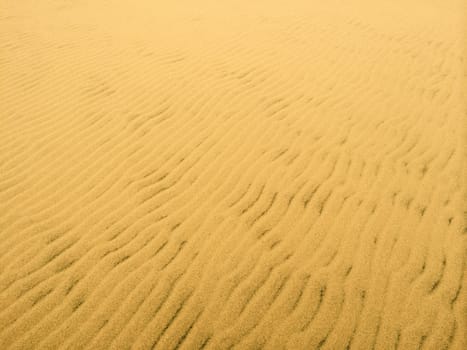 Sandy beach background. Texture of golden sand.