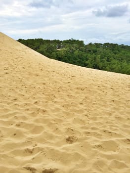 Sandy slope of the Dune of Pilat. Dune du Pilat, the tallest sand dune in Europe, located in the Arcachon Bay area, France.