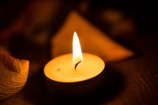 candle close up and rose petals