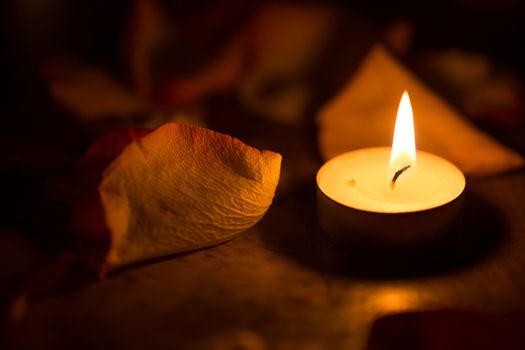 candle close up and rose petals