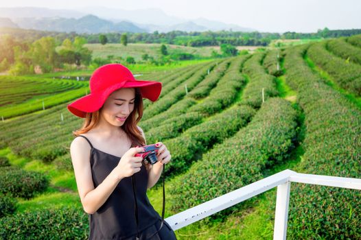 beautiful girl with red hat in green tea mountain.