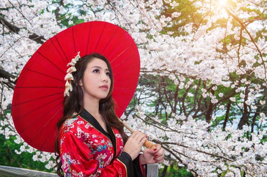 Asian woman wearing traditional japanese kimono with red umbrella and cherry blossom.