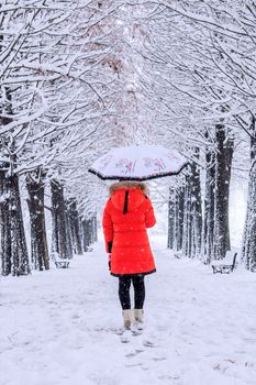Girl with umbrella walking on the path and row trees. Winter.