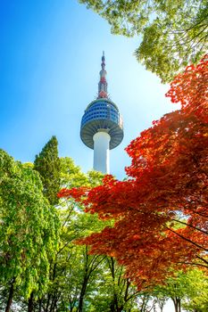 Seoul Tower and red autumn maple leaves at Namsan mountain in South Korea.