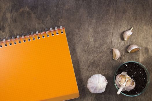 Notebook and garlic on a wooden surface