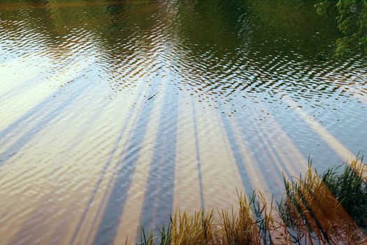 Magic pond. Composition of a pond and rays. Natural background