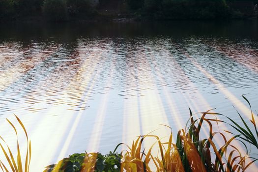 Magic pond. Composition of a pond and rays. Natural background