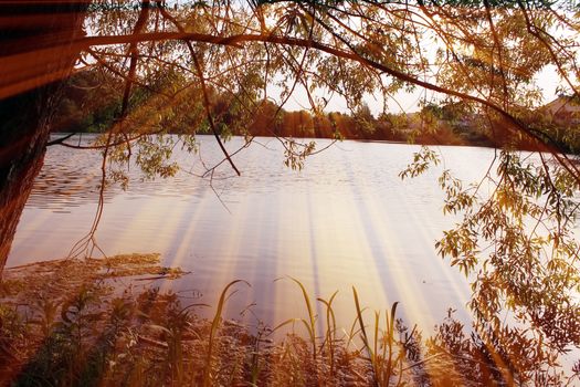 Magic pond. Composition of a pond and rays. Natural background
