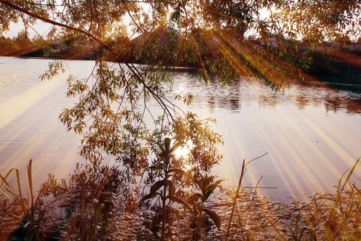 Magic pond. Composition of a pond and rays. Natural background