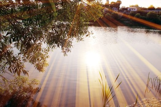 Magic pond. Composition of a pond and rays. Natural background