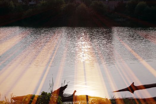 Magic pond. Composition of a pond and rays. Natural background