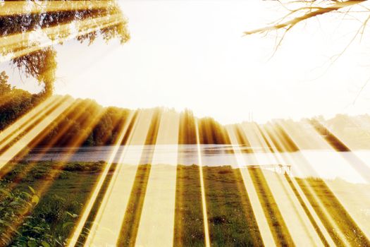 Magic pond. Composition of a pond and rays. Natural background