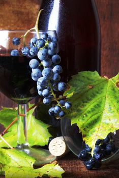 Closeup of wine and grape vine on wood.