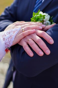 Hands the newlywed with wedding rings. Groom and bride