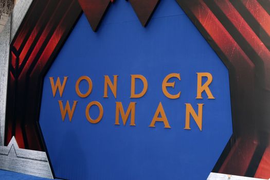 Wonder Woman Atmosphere
at the "Wonder Woman" Premiere, Pantages, Hollywood, CA 05-25-17