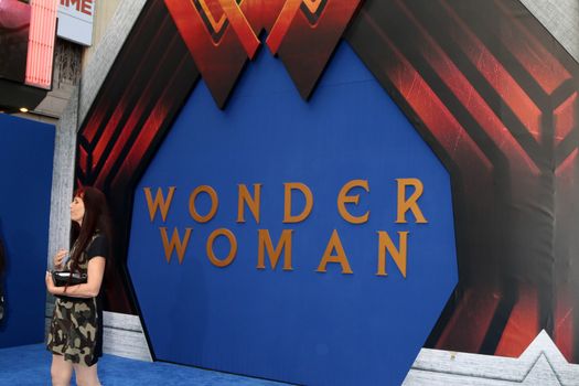 Wonder Woman Atmosphere
at the "Wonder Woman" Premiere, Pantages, Hollywood, CA 05-25-17