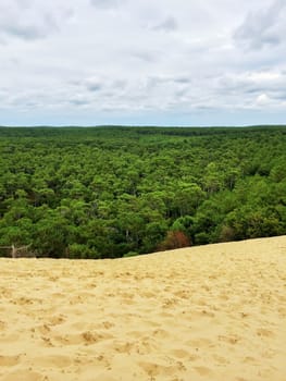 Sky, trees and sand. View from the Dune of Pilat. Dune du Pilat, the biggest sand dune in Europe, located in the Arcachon Bay area, France.