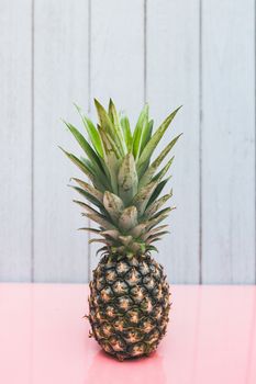 Pineapple on a blue pastel background .