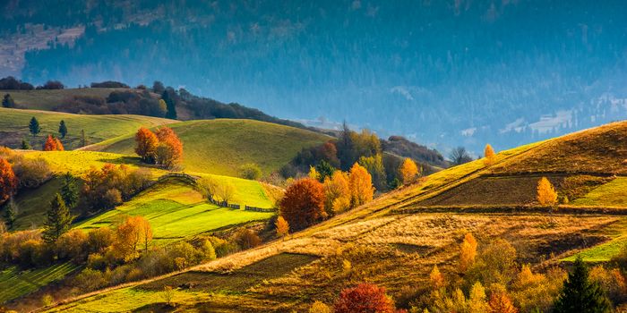 agricultural fields with fence on hills. yellow and red foliage on trees in autumn time. beautiful rural landscape at sunrise