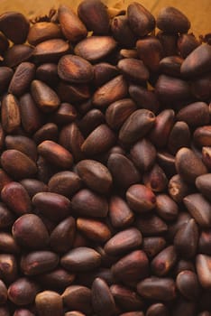 Pine nuts in shells of ciberian cedar as a background. Macro.