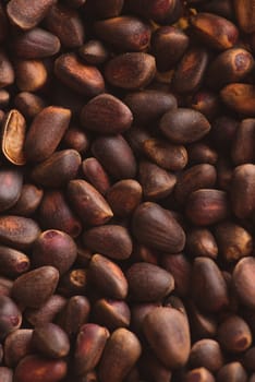 Pine nuts in shells of ciberian cedar as a background. Macro.