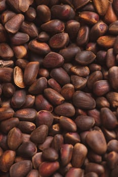 Pine nuts in shells of ciberian cedar as a background. Macro.