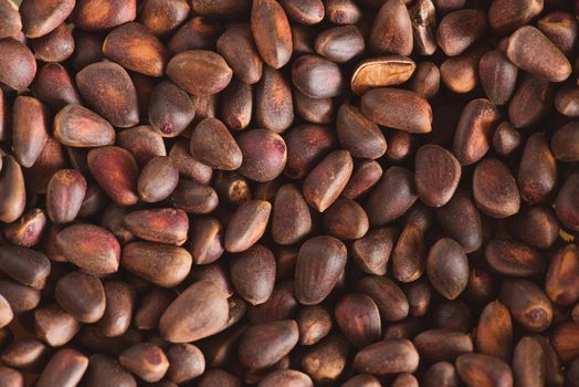 Pine nuts in shells of ciberian cedar as a background. Macro.