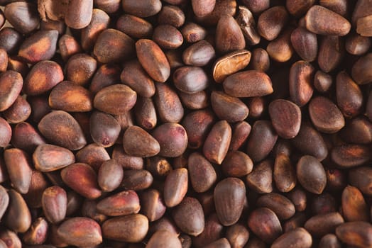 Pine nuts in shells of ciberian cedar as a background. Macro.