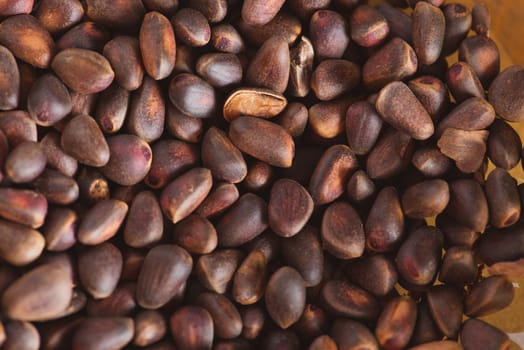 Pine nuts in shells of ciberian cedar as a background. Macro.