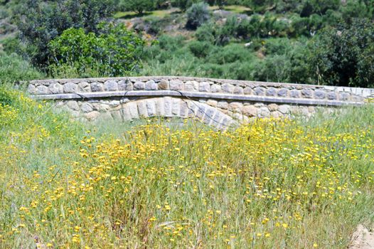 Stone bridge with a field of marguerittes in the center of the island of Crete