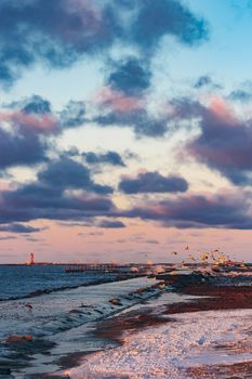 Flying seagulls over the winter sea in Riga