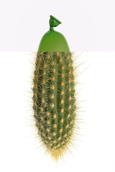 Abstract cactus small balloons on white background