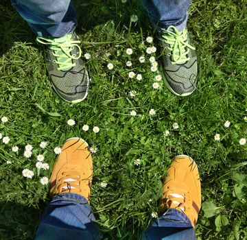 Part of legs in sports shoes on green grass around camomiles