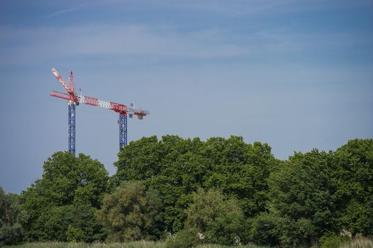 Construction crane towering above the trees, city and nature, cranes, Bordeaux, France