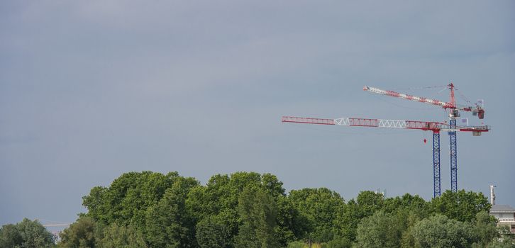 Construction crane towering above the trees, city and nature, cranes, Bordeaux, France