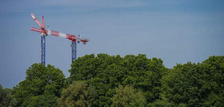 Construction crane towering above the trees, city and nature, cranes, Bordeaux, France