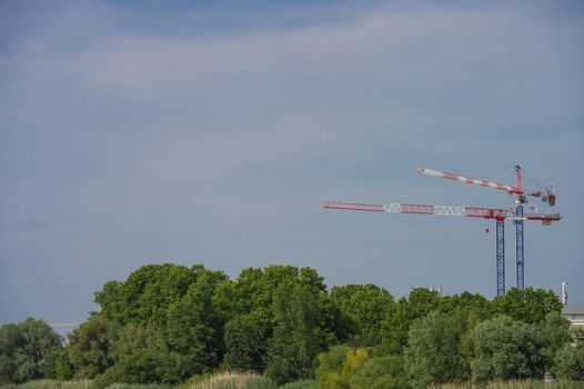 Construction crane towering above the trees, city and nature, cranes, Bordeaux, France