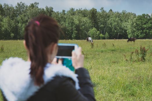 Blurred girl on foreground holding smartphone and making picture of two gorgeous horses outdoors.