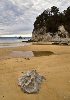 Golden Sand Beach New Zealand Abel Tasman National Park