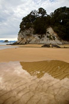 Golden Sand Beach New Zealand Abel Tasman National Park