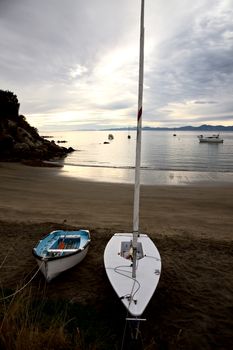 Golden Sand Beach New Zealand Abel Tasman National Park